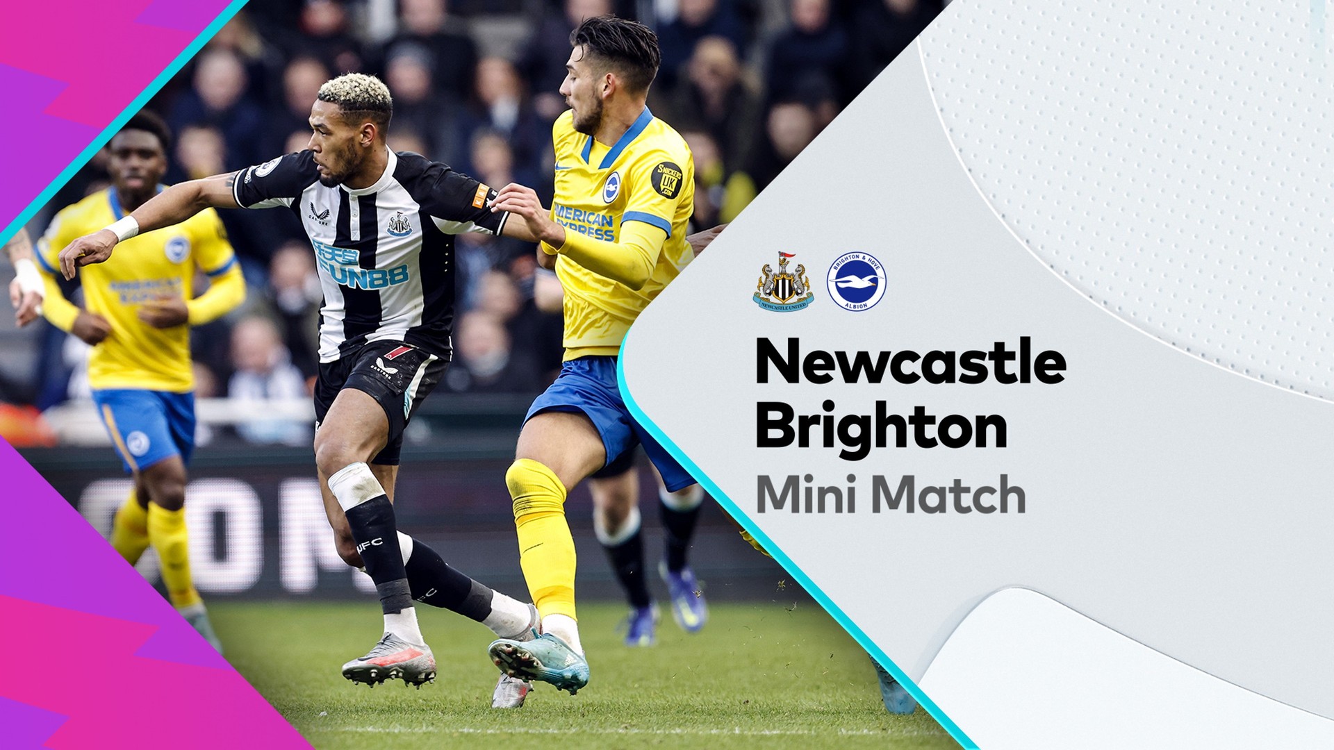 Mini Match: Newcastle United v Brighton